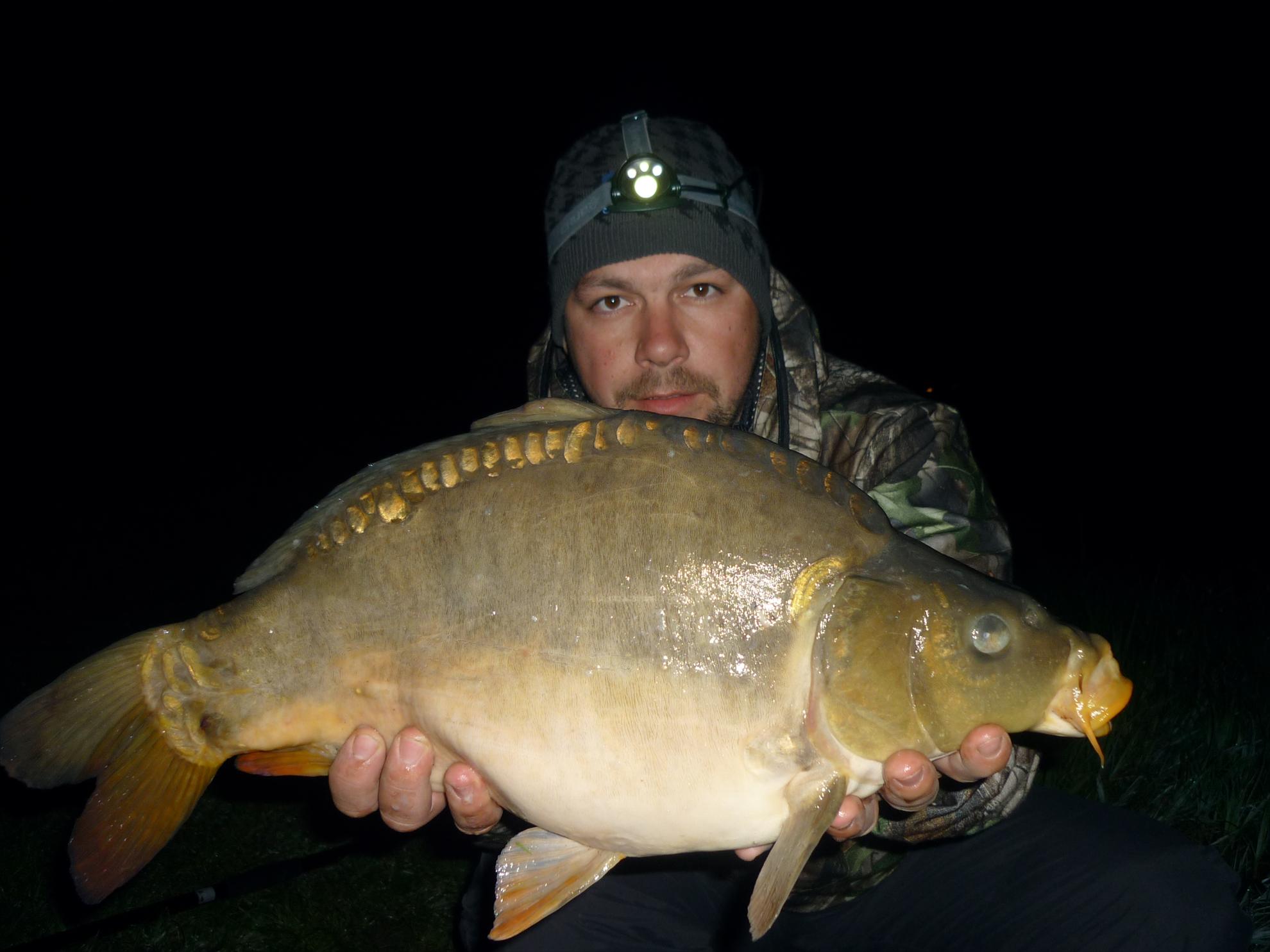 Stejeris 2011 - p1010950.JPG